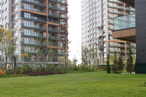 Alliance Brookfield
